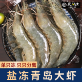 渔吻虾青岛大虾青虾鲜虾海虾白虾基围虾大对虾海捕大虾净重3斤 18-23cm送礼特大号 3斤(净重)