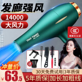 初先 大功率发廊专用电吹风机家用头发理发店蓝光不伤发负离子3000以上大风力W速干风筒高速吃电风吹 幻境森林：国际发廊版加大风力+加长加粗线 升级版加大功率