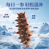 康悦堂大连底播即食海参正宗新鲜辽刺参海参礼盒独立包装海鲜水产 大连即食7A参500g【20-25只】