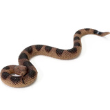 玛奇乐（MECHILE）仿真蛇模型玩具两栖爬行动物青蛙蜥蜴儿童认知科教启蒙动物教具 响尾蛇（软胶)