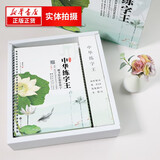赠书写示范视频 中华练字王字帖 字帖行楷 字帖楷书 名家楷书临摹字帖毛笔字轻松入门儿童学生成人行楷书