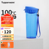 特百惠（Tupperware）茶韵500ML塑料杯 男女学生便携办公用水杯子大容量双饮口 纯净蓝