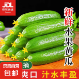 水果黄瓜无刺减肥好搭配可即食生鲜蔬菜 畅销款 3斤 带箱