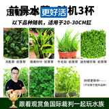 云峰海瑞 鱼缸造景真活体水草草坪水草种子鱼缸草缸造景水族箱装饰前景 随机水草3杯（随机发货不指定品种）