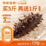 明威海参 鲜食即食海参刺参 鲜活加工独立包装单个装开袋即食冷冻海鲜礼盒 12-14头（1斤 ）