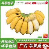 闽农语果正宗广西苹果蕉新鲜美味现摘新鲜香甜软糯小香蕉小米蕉需催熟香蕉 【量少尝鲜】净重 3斤 /需催熟