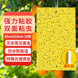 BATUREL粘虫板黄板双面诱虫板灭苍蝇贴纸果蝇诱捕神器灭蚊虫小飞虫10张