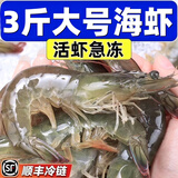 【顺丰快递】虾 青岛大虾白虾鲜活新鲜特大海鲜水产虾子虾米冷冻 18-19厘米  2.8- 3斤(净重)  带箱4斤【高品质】