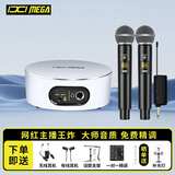 IXI MEGA M2PLUSII外置声卡+艾肯WM2.2一拖二麦克风话筒套餐 直播K歌主播唱歌录音电脑声卡设备