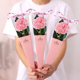 极度空间 永生花束生日礼物实用送女友伴手礼花束粉色康乃馨手捧花