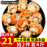 海皇湾扇贝肉 新鲜蒜蓉粉丝扇贝原料 冷冻海鲜水产 扇贝肉 1000g（20-40只/500g）