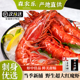 森农乐红魔虾新鲜刺身级鲜活超大生吃海鲜水产舟山船冻特大号海虾甜虾 500g(净重)  15-17cm【12-14只/斤 特大满足】