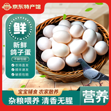 我老家鸽子蛋 新鲜 现捡散养谷物蛋 孕妇宝宝营养生鲜 鲜鸽蛋30枚装