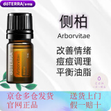 多特瑞多特瑞官网单方精油植物萃取滋养修护香薰芳疗 侧柏5ml