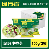 绿行者（GREER）新鲜蔬菜沙拉150g*3 现摘生菜组合叶菜沙拉健康轻食开袋即食 【不含酱】蔬菜沙拉150g*3