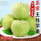 【顺丰】正宗王林苹果烟台雀斑美人翡翠王林青苹果新鲜水果 3斤 特大果85-90mm【体验】