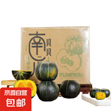 京喜加惠和一号贝贝南瓜生鲜新鲜蔬菜减肥减脂早餐沙拉必备 【礼盒】 5斤 带箱