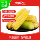 京鲜生云南水果玉米 净重5斤单果280g+ 甜玉米棒新鲜蔬菜应季 源头直发