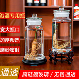 宜铂 广口泡酒玻璃瓶泡酒罐浸酒坛直筒酒瓶自酿葡萄酒杨梅青梅酵素桶 10斤装单瓶+底座
