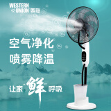 西联喷雾电风扇家用雾化加湿加水落地风扇加冰块制冷水冷降温电扇水雾大风力负离子空气净化摇头落地扇 09上加水直流款