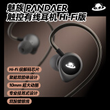 魅族（MEIZU）PANDAER × SONGX HIFI有线耳机 Type-C有线耳机 旗舰级解码芯片 10mm超大动圈 挂耳式设计