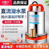 韩羽（Hanyu）直流潜水泵12V24V48V60V伏电瓶车水泵电动车抽水泵农用抽水机 48-60V通用350瓦20米电线