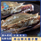 拾鲜生 梭子蟹活冻舟山特大野生螃蟹 新鲜冷冻海蟹海鲜水产 5斤梭子蟹7-9两/只源头直发