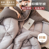 雅鹿·自由自在A类被子春秋棉被芯单双人宿舍学生5斤180x220cm 古典灰