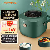 九阳（Joyoung）电饭煲小2人迷你两人电饭锅小容量2L智能预约F131多功能锅微压 复古绿-四叶草-柴火饭-带蒸笼 2L