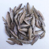 虾段虾肉喂鱼虾小河虾龙鱼饲料白虾金龙红龙冻鱼食冻虾喂鱼 1斤单冻麦穗鱼 2斤起发