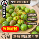 【顺丰速运】李子新鲜水果三月李珍珠李孕妇水果酸脆青李子三华李 【中果】1斤（55-68粒果/斤）