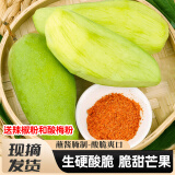 壹萌果蔬青芒果生吃酸脆芒果新鲜水果当季酸脆甜芒广西大青芒酸野 甄选3斤脆酸芒果+辣椒粉+酸梅粉【净2.7斤】