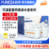柏纯净水器滤芯可适配德国碧然德Brita净水壶滤芯家用过滤芯碧然德去水垢专家版滤水芯必然的 通用滤芯 【千人回购】专家版12芯赠陶瓷杯