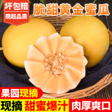 甜果源 黄金蜜瓜黄河黄金甜瓜黄皮香瓜密瓜当季新鲜水果包邮 5斤（净重约4.5-5斤）80%人选择