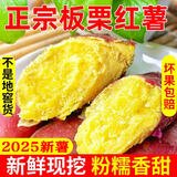 味果生正宗板栗红薯新鲜沙地现挖番薯地瓜粉面香甜板栗黄心薯农家自种 5斤 大果【单果5-8两】