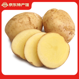 稀壤恩施小土豆高山黄心马铃薯新鲜蔬菜黄皮洋芋净重2.5kg 较大号2.5kg