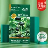 寿禾 贝贝南瓜种子苗板栗南瓜迷你瓜蔬菜籽 潍育墨丰贝贝南瓜种子10粒