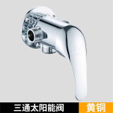 牧滨（MU BIN）太阳能热水器混水阀明装调温阀带上水淋浴冷热水龙头洗澡花洒套装 黄铜C款