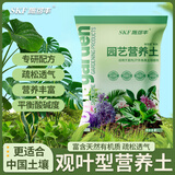 施可丰观叶绿植专用营养土壤泥炭种植盆栽通用型育苗室内盆景植物