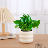 绿有意 绿植花卉办公室客厅桌面盆栽摆件简约创意网红北欧绿植ins云朵盆 绿萝+甜甜圈PET树脂盆+托盘+肥料 北欧风格网红绿植