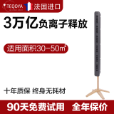 得康氧法国进口得康氧除菌空气净化器负离子发生器负氧离子机氧吧除甲醛异味无耗材除二手烟 teqair450黑色