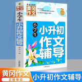 小学生小升初作文辅导 黄冈作文 三四五六年级3-4-5-6年级8-9-10-11岁适用满分作文大全