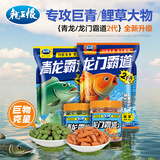 龙王恨鱼饵青龙霸道鲤鱼草鱼青鱼打窝料巨青大物挂钩皮筋颗粒饵料窝料 龙门霸道2代-皮筋颗粒(110g)