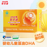 智灵通dha婴幼儿童1-3岁软胶囊孕妇DHA高纯藻油补脑90粒官方店直营旗舰 【激发脑活力】1盒*90粒培育系列