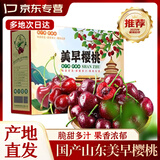 鲜其车厘子樱桃【多地次日达】山东大樱桃新鲜应季水果生鲜整箱礼盒 1.8斤(净重)  【聚划算】尝鲜礼盒 优选大果【单果6-8g】