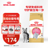 皇家猫粮 英短幼猫粮 BSK38 通用粮 4-12月 2KG