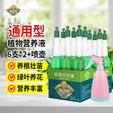 德沃多肥料植物营养液绿萝通用型土水培盆栽多肉发财树富贵竹养花卉生根液肥 营养液2盒（12支）+喷壶颜色随机