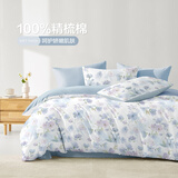 博洋（BEYOND）博洋家纺100%纯棉四件套被套床单枕套ins风全棉套件单双人被罩 淡岚【100%纯棉】 1.2m 床单款 （被套150*210cm）
