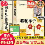 新版 朝花夕拾 西游记 骆驼祥子 钢铁是怎样炼成的 人教版七年级上册 人教版 七年级下册课外书课外阅读名著初一书目 朝花夕拾 原著无删减版 人民教育出版社 西游记 【升级版2本套】七下 钢铁是怎样炼成