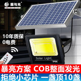 鲸与光 太阳能灯路灯户外照庭院路灯led投光灯大功率室外防水景观灯 华亮-200 